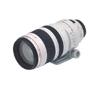 Canon EF 100-400mm f4.5/5.6L USM
