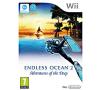  Endless Ocean