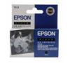 Epson T013401