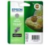 Epson T034740