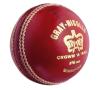 Gray-Nicolls Warrior