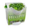  Herb Pot