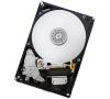 Hitachi Deskstar 2TB