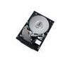 Hitachi Ultrastar 300GB