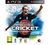  International Cricket 2010