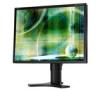 NEC MultiSync LCD2190UXp