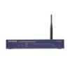 Netgear FVG318
