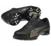 Puma Cell Fusion