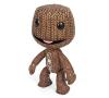  Sackboy