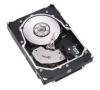 Seagate ST3750640NS