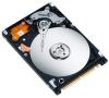 Seagate ST9160821A