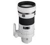 Sony 300mm f2.8