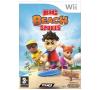 THQ Big Beach Sports