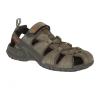 Teva Dozer