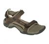 Teva Toachi