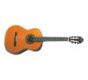 Washburn C40