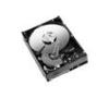Western Digital Caviar 250GB