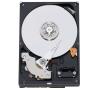 Western Digital Caviar 640GB