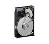 Western Digital Caviar 80GB