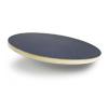  Wobble Board