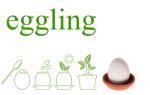 Egglings from Gadgets.co.uk