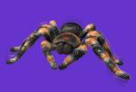 RC Tarantula from Gadgets.co.uk
