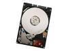 Hitachi Travelstar 250GB from MicroWarehouse