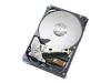 Hitachi Deskstar 250GB from MicroWarehouse