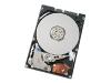 Hitachi Travelstar 160GB from MicroWarehouse