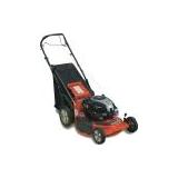 Compare Prices : Ariens LM21S
