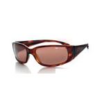 Compare Prices : Bolle Habu