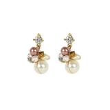 Compare Prices : Coast Diamante Earrings