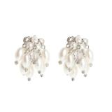 Compare Prices : Coast Earrings