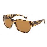 Compare Prices : Dolce & Gabbana 512