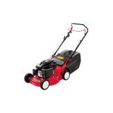 Compare Prices : Efco LR44P