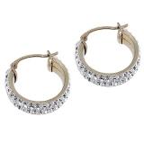 Compare Prices : Evoke Gold Earrings