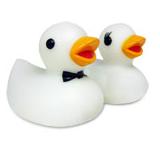 Compare Prices : Funky Ducks