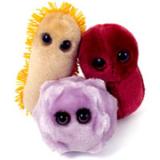 Compare Prices : Giant Microbes
