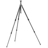 Compare Prices : Gitzo GT1531