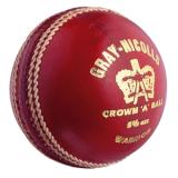 Compare Prices : Gray-Nicolls Warrior