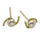 Compare Prices : H Samuel Gold Stud Earrings