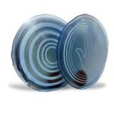 Compare Prices : Hand Warmers