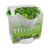 Compare Prices : Herb Pot