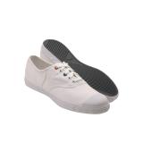 Compare Prices : Lacoste Rene