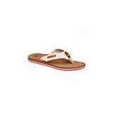 Compare Prices : Mexx Mules
