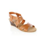 Compare Prices : Oasis Wedges