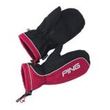 Compare Prices : Ping Ladies Gloves