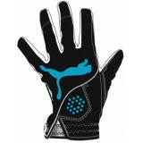 Compare Prices : Puma Gloves