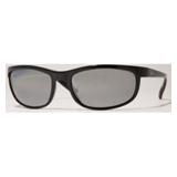 Compare Prices : RayBan Predator