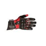 Compare Prices : Richa Magma Glove